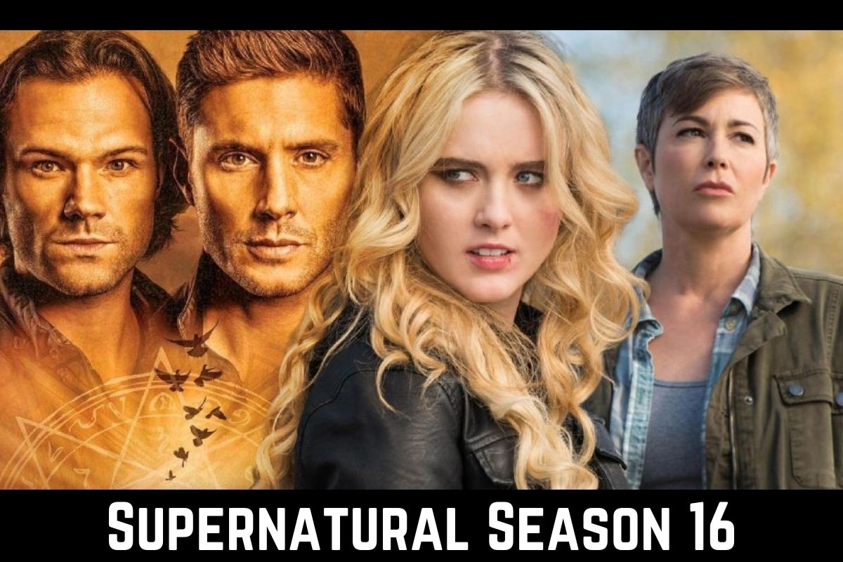 Supernatural Season 16 Everything You Might Be Looking For Is Right