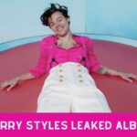Harry Styles Leaked Album