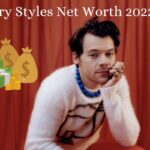 Harry Styles Net Worth 2022