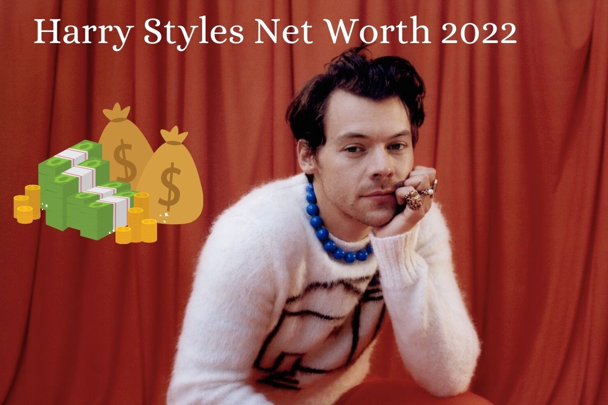 Harry Styles Net Worth 2022