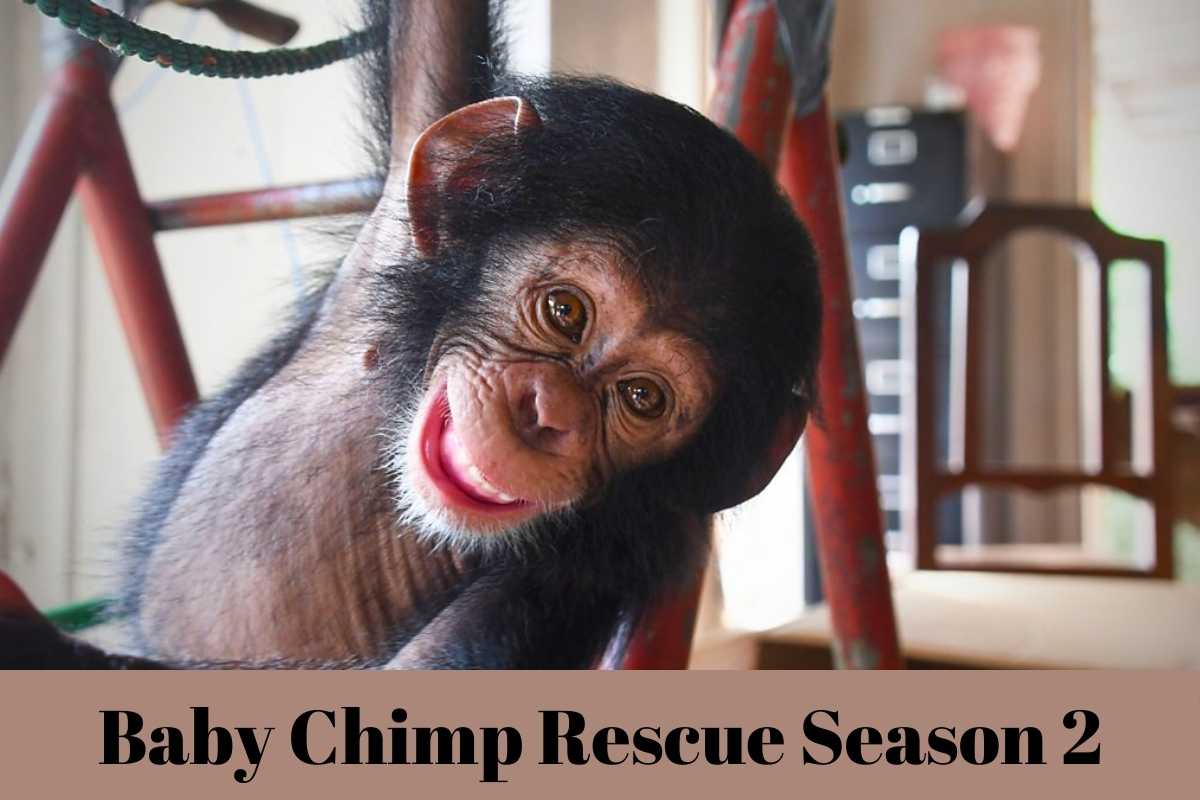 Baby Chimp Rescue Season 2