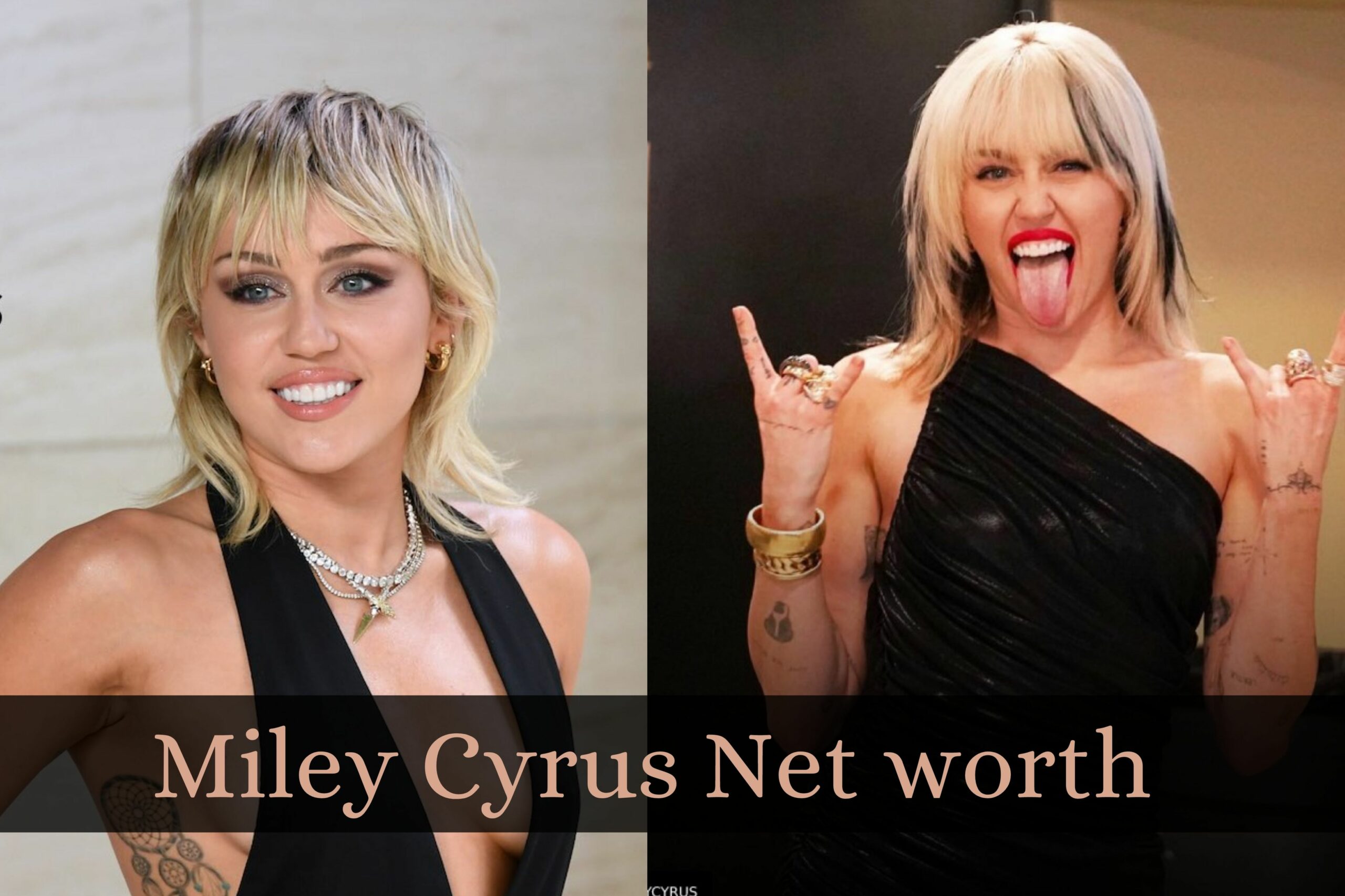 Miley Cyrus Net worth 2022, Career And Real Estate Updates!