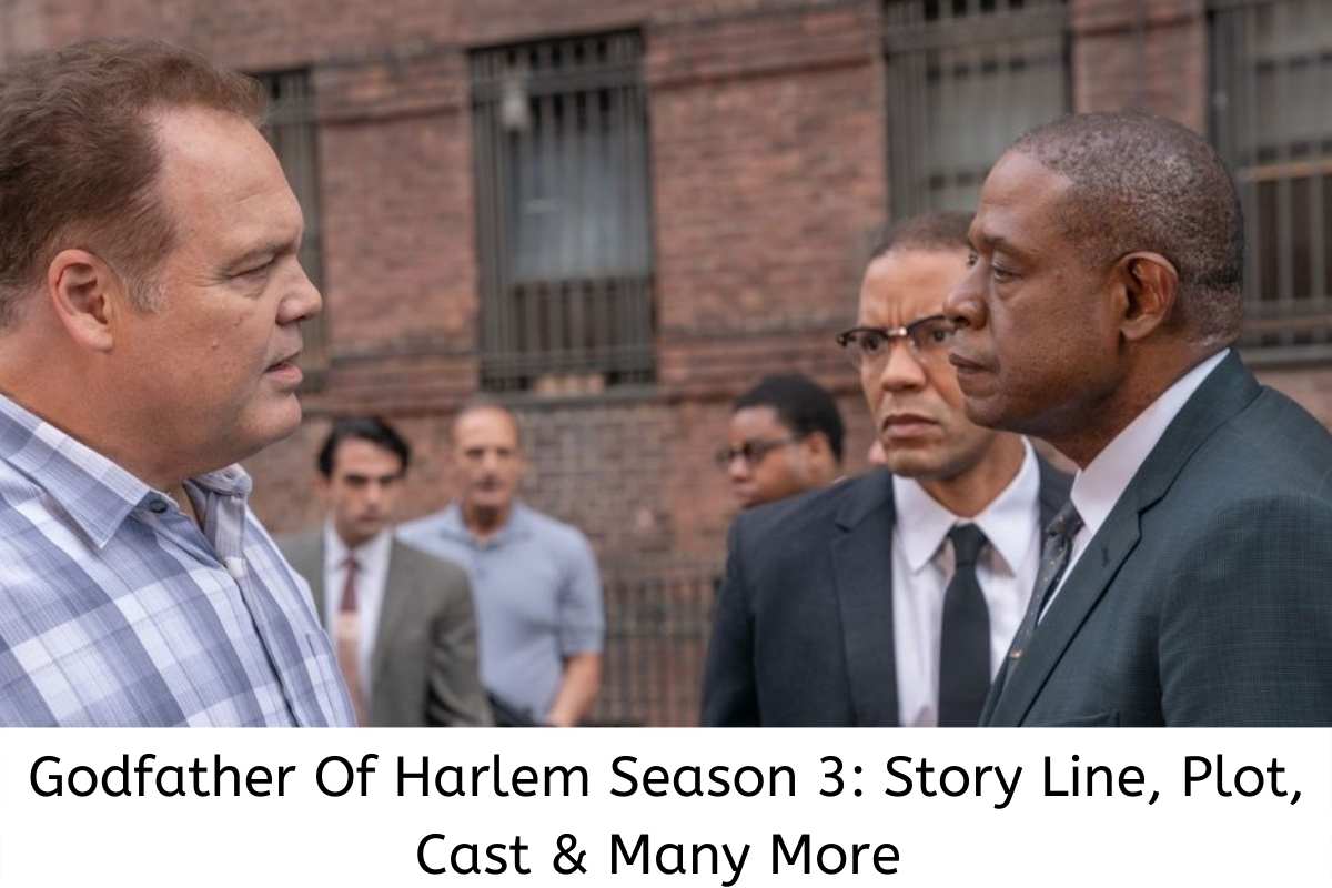 Godfather Of Harlem Season 3 Story Line, Plot, Cast & Many More