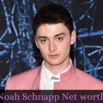 Noah Schnapp Net worth 2022, How Much Money Does Noah Schnapp Earn From Stranger Things?