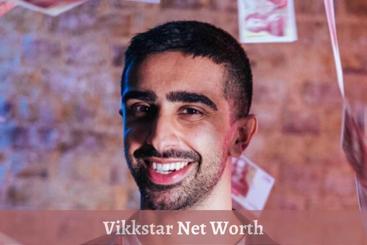 Vikkstar Net Worth