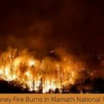 McKinney Fire Burns In Klamath National Forest
