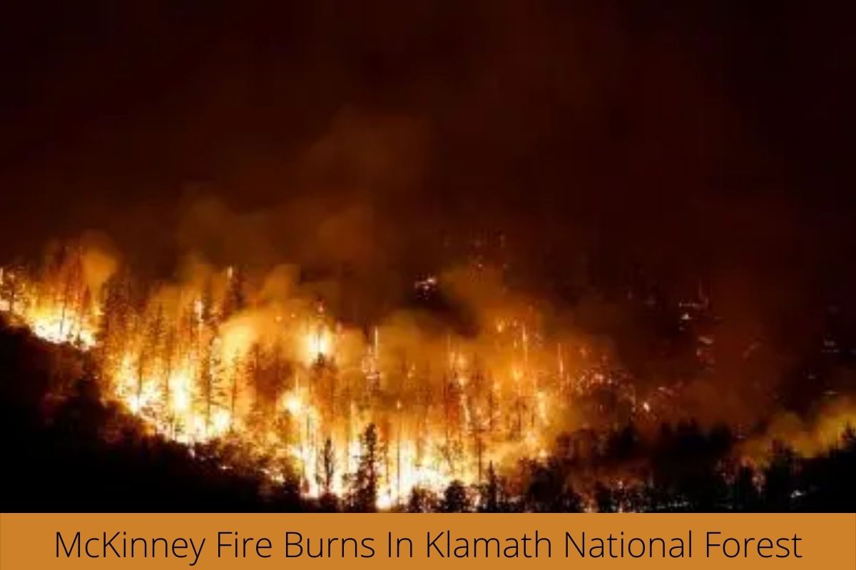 McKinney Fire Burns In Klamath National Forest