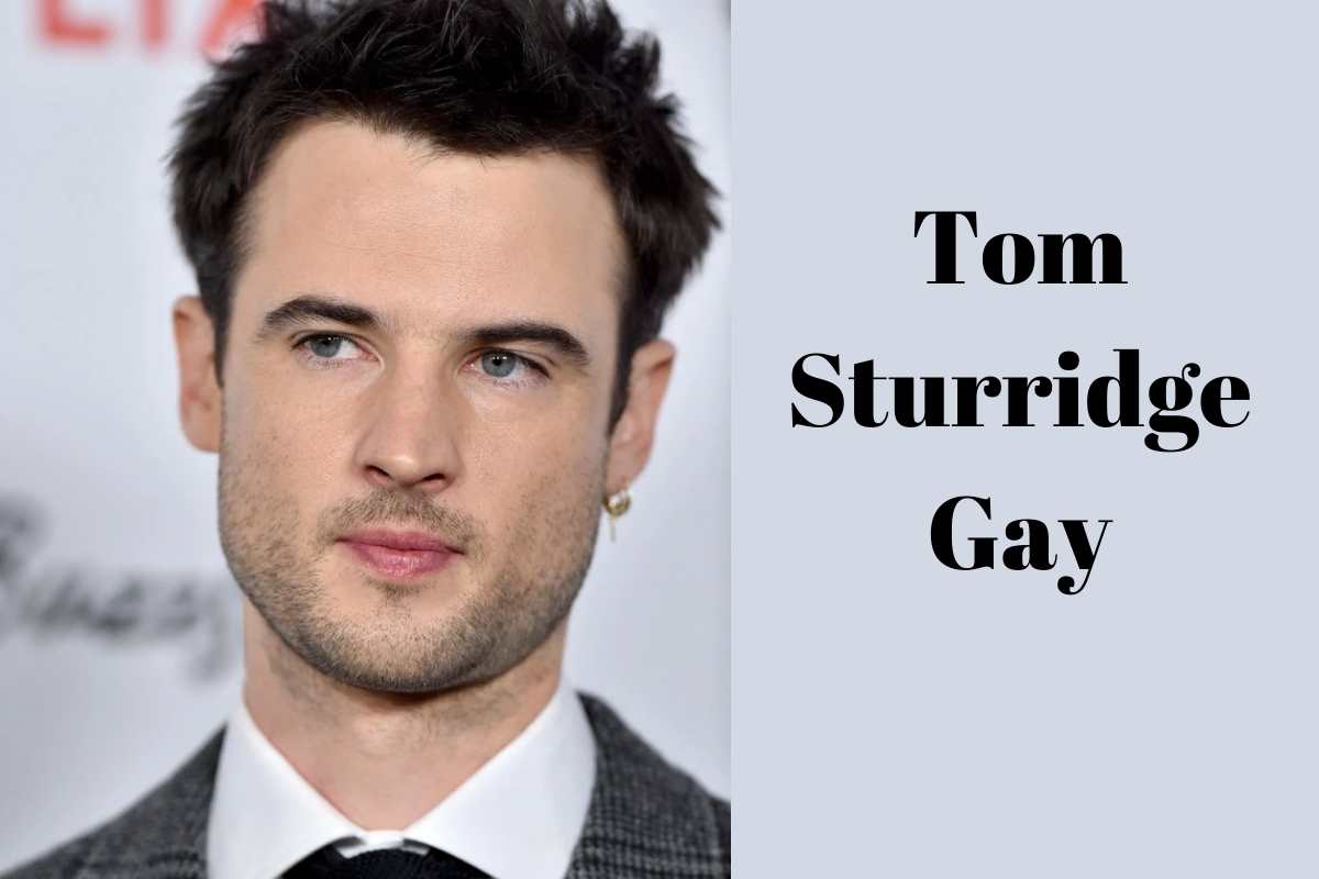 Tom Sturridge Gay
