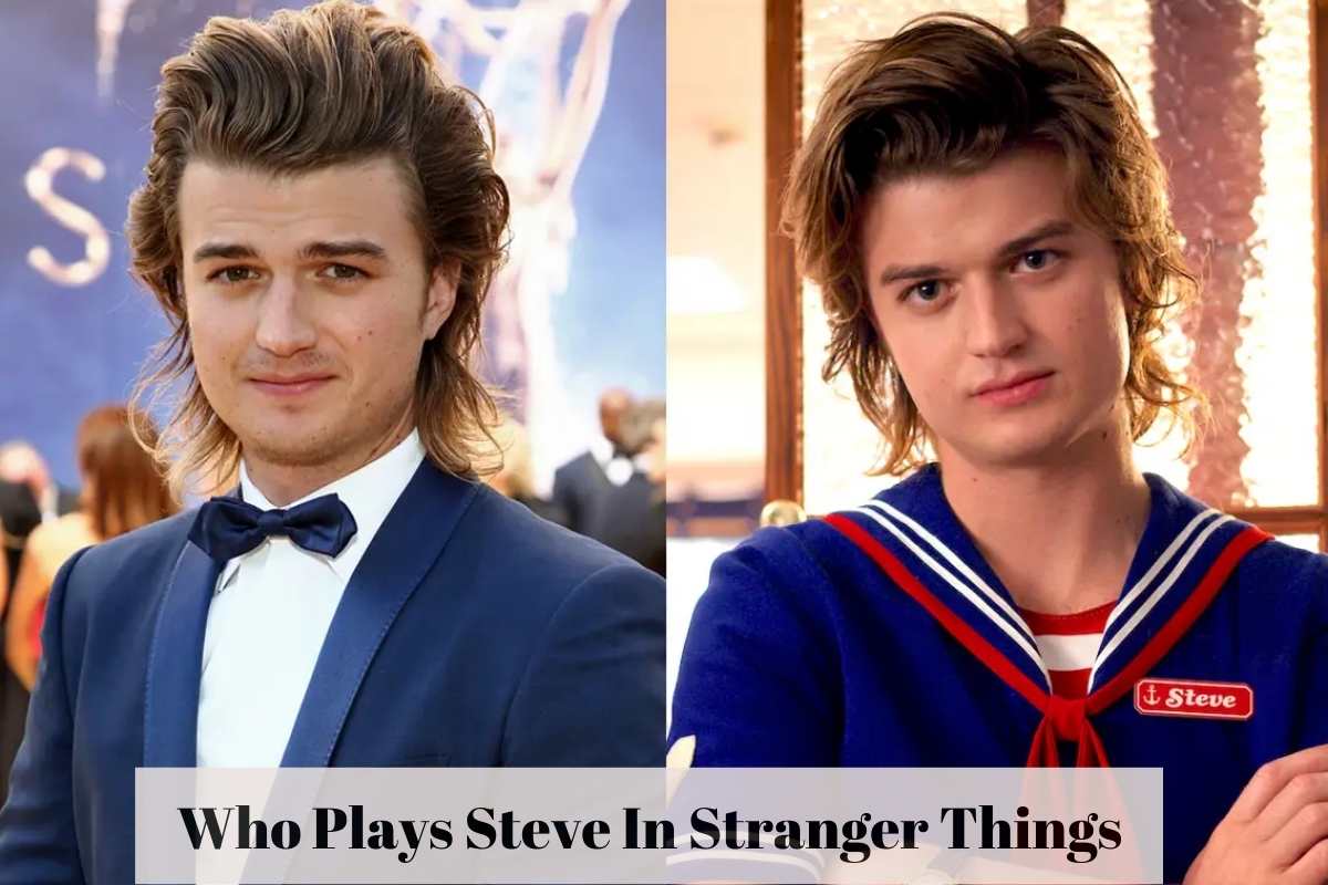 Who Plays Steve In Stranger Things