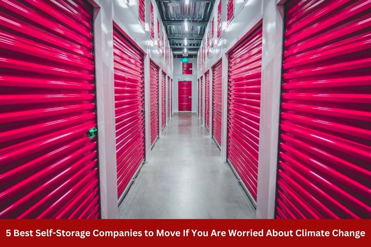 5 Best Self-Storage Companies to Move If You Are Worried About Climate Change