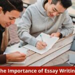 The Importance of Essay Writing