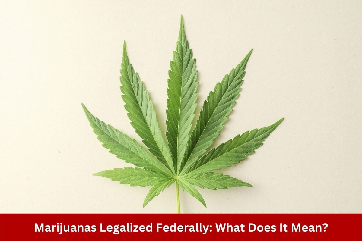 Marijuanas Legalized Federally: What Does It Mean?