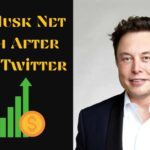 Elon Musk Net Worth After Buying Twitter