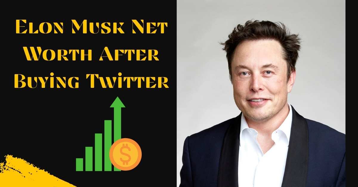 Elon Musk Net Worth After Buying Twitter