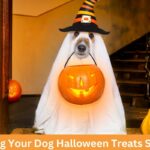 Dog Halloween Treats