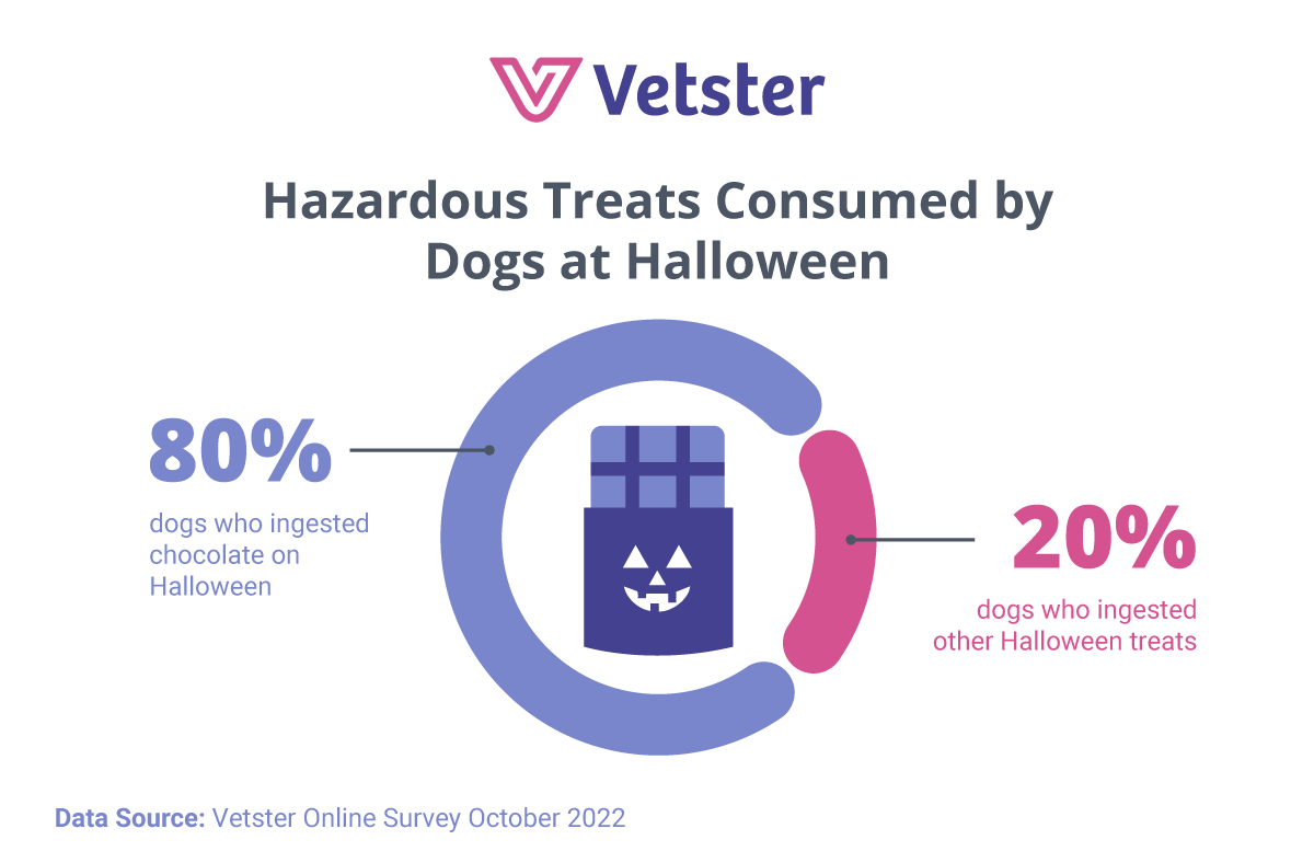Giving Your Dog Halloween Treats Safely