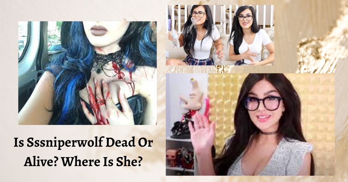 Is Sssniperwolf Dead Or Alive? Where Is She?