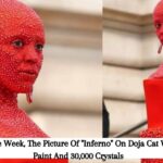At Haute Couture Week, The Picture Of "Inferno" On Doja Cat Was Covered In Paint And 30,000 Crystals