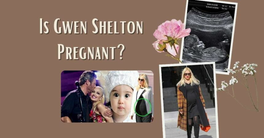 Is Gwen Shelton Pregnant