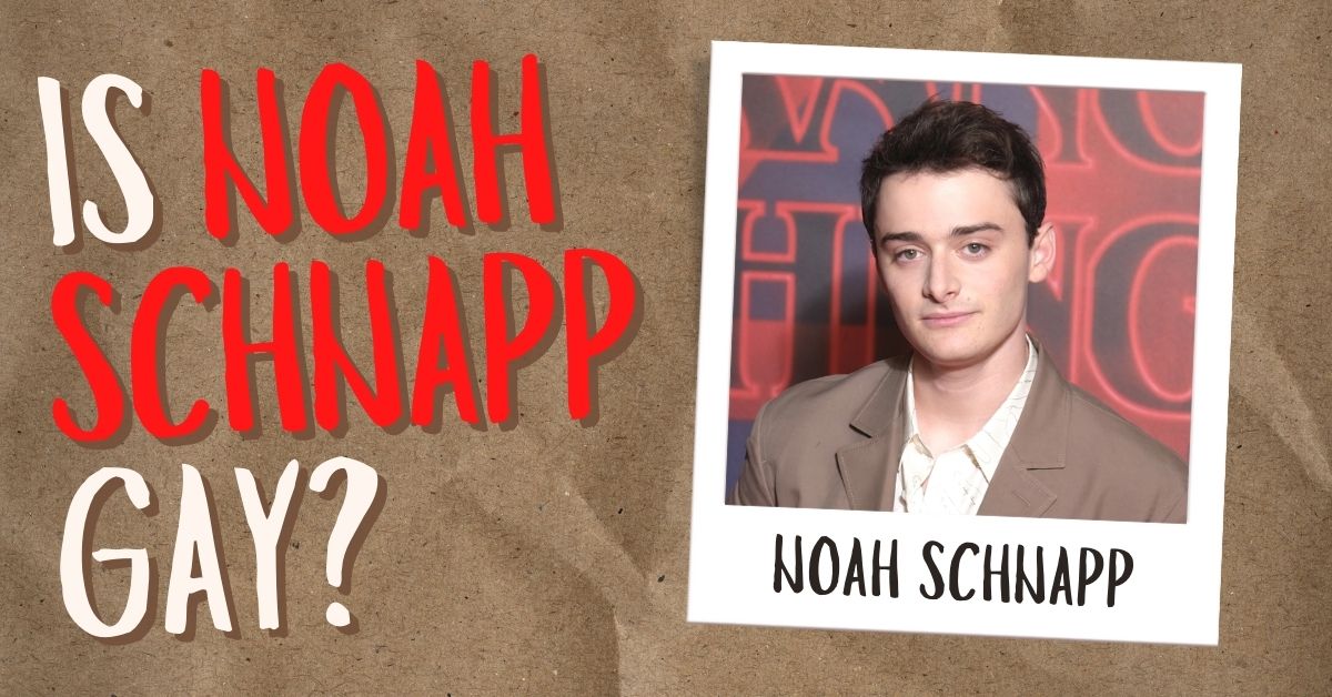 Is Noah Schnapp Gay