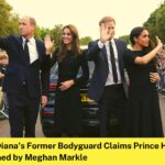 Princess Diana's Former Bodyguard Claims Prince Harry Was Brainwashed by Meghan Markle