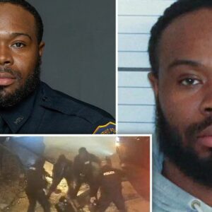 What Did Demetrius Haley Do Before His Arrest?