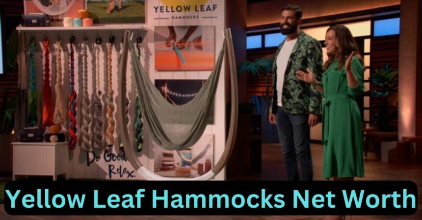 Yellow Leaf Hammocks Net Worth