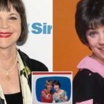 Cindy Williams Career