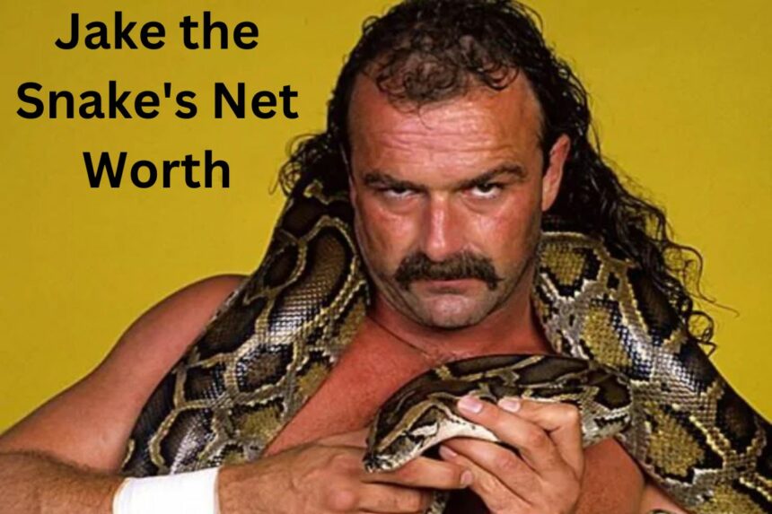 Jake the Snake Net Worth How Much Money Does He Make