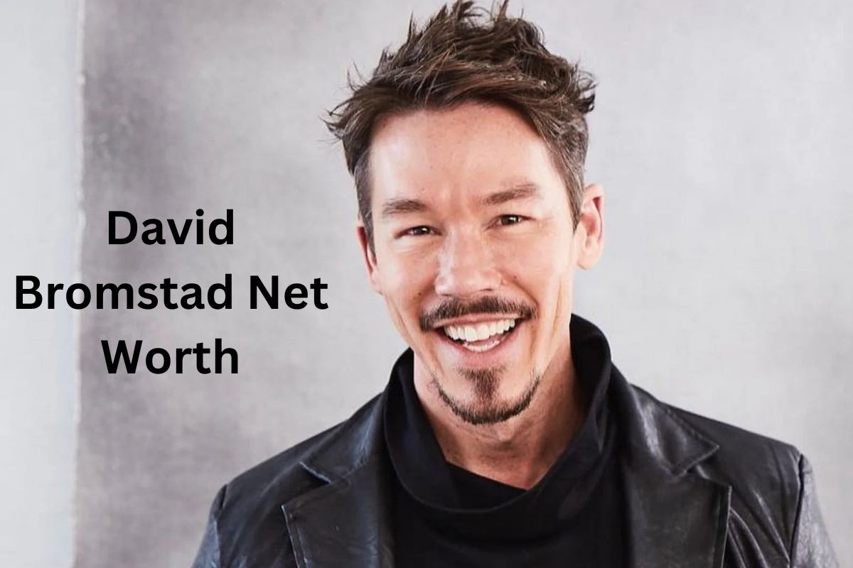David Bromstad Net Worth How Did He Make His Money