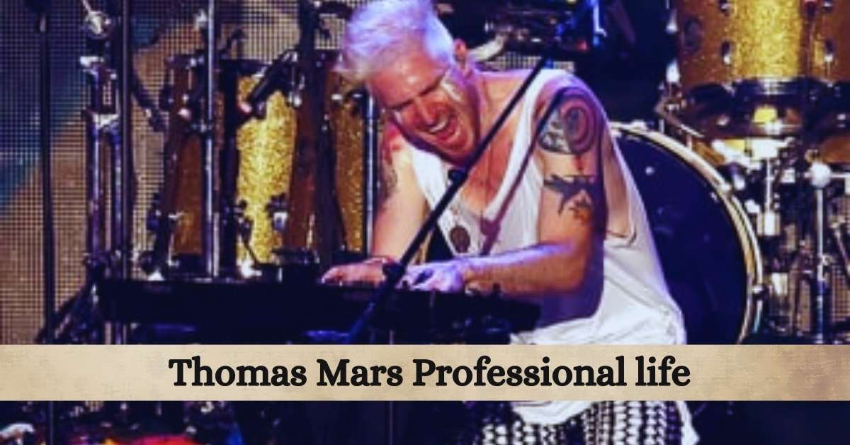 Thomas Mars Professional life