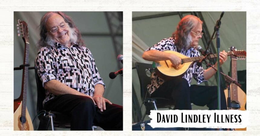 David Lindley Illness: How Did The American Musician Fare?