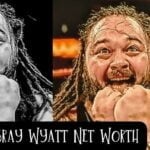 Bray Wyatt Net Worth