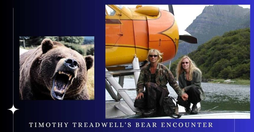 Timothy Treadwell's Bear Encounter