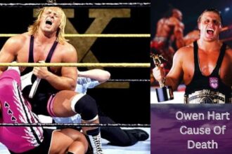 Owen Hart Cause Of Death