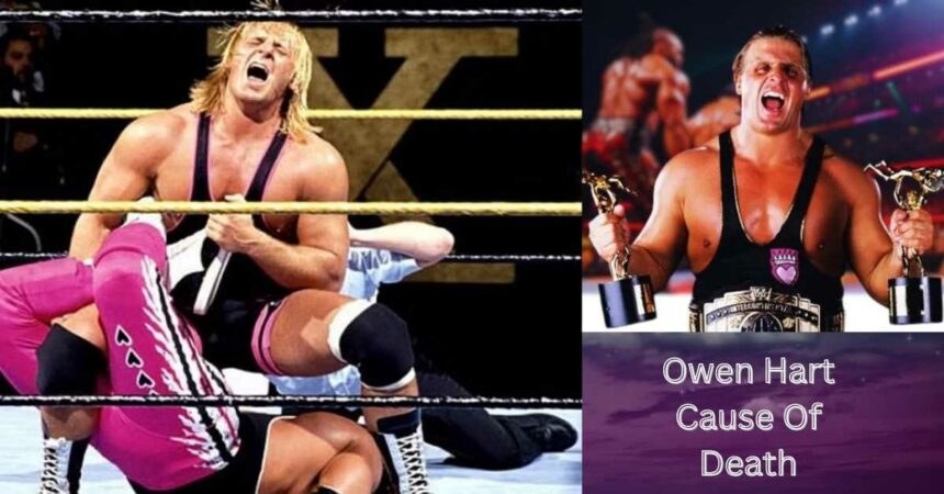 Owen Hart Cause Of Death