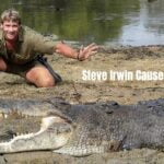 Steve Irwin Cause Of Death