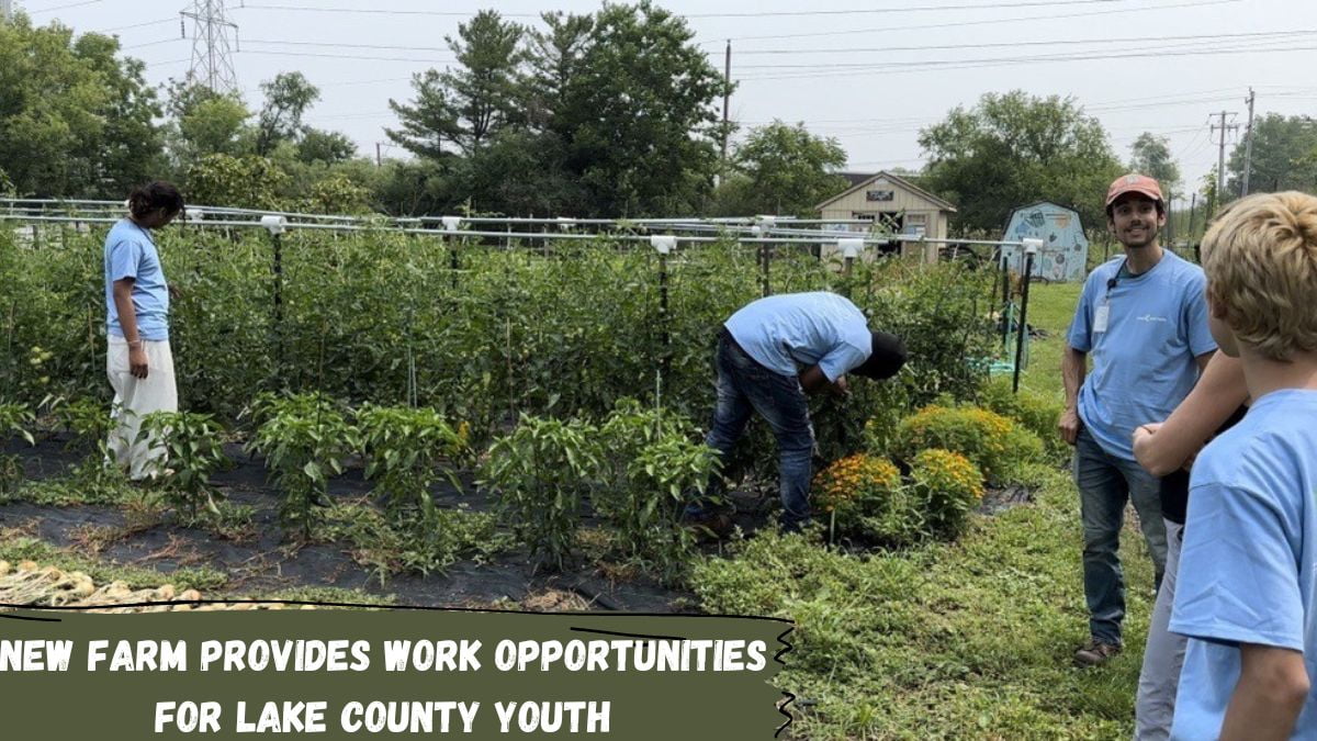 New Farm Provides Work Opportunities For Lake County Youth