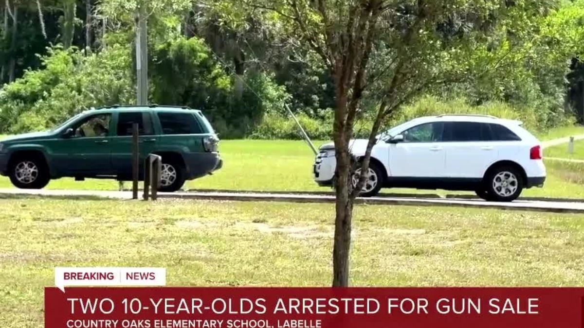 Two 10 Year Olds Arrested In Gun Sale At School