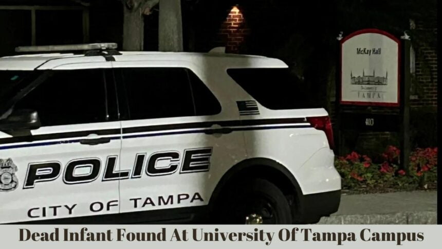 Dead Infant Found At University Of Tampa Campus