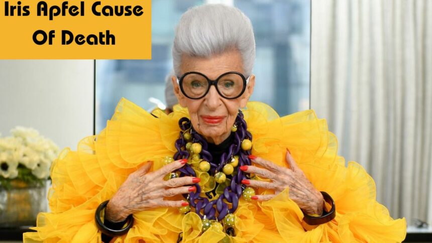 Iris Apfel Cause Of Death