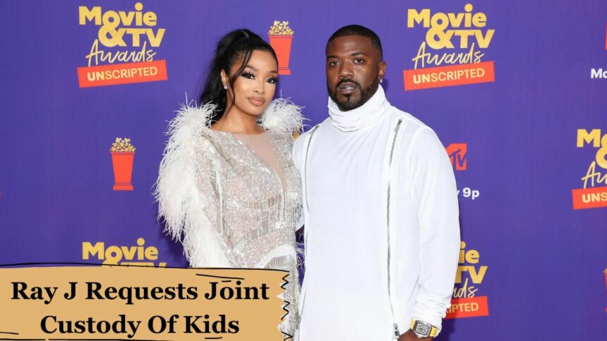 Ray J Requests Joint Custody Of Kids