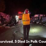 Toddler Survived, 3 Died In Polk County Crash