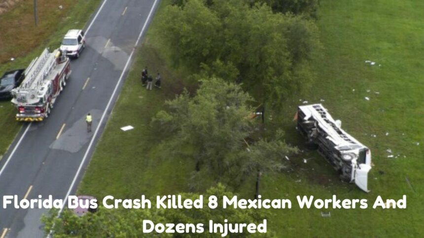 Florida Bus Crash Killed 8 Mexican Workers And Dozens Injured