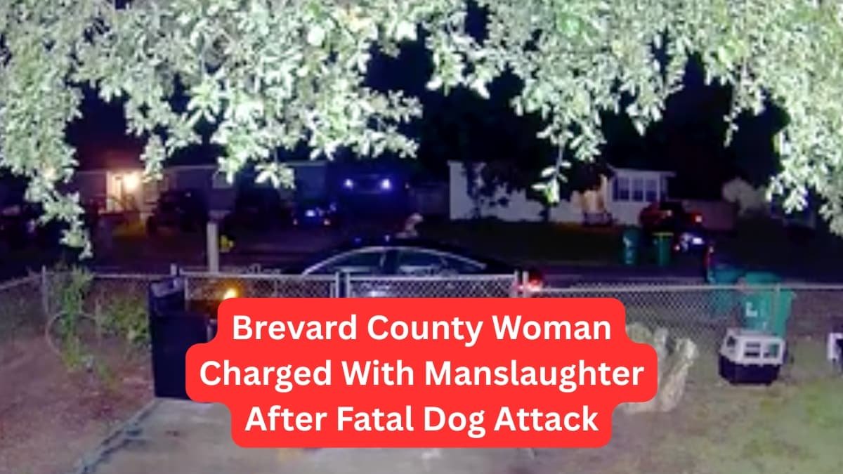 Brevard County Woman Charged With Manslaughter After Fatal Dog Attack ...